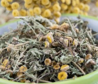Tansy